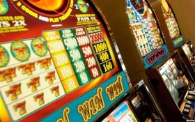 Responsible live bingo reading experience on apk 88 for adult users